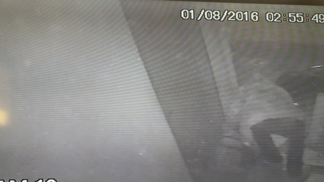 20160802_113016.jpg