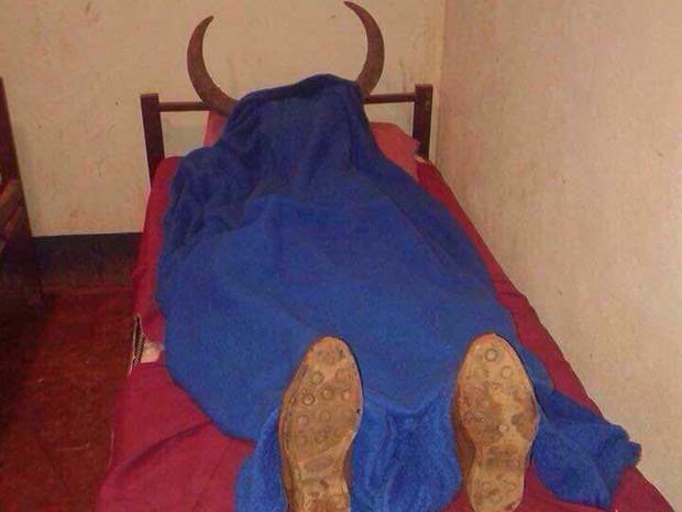 cama_cornos620p.jpg