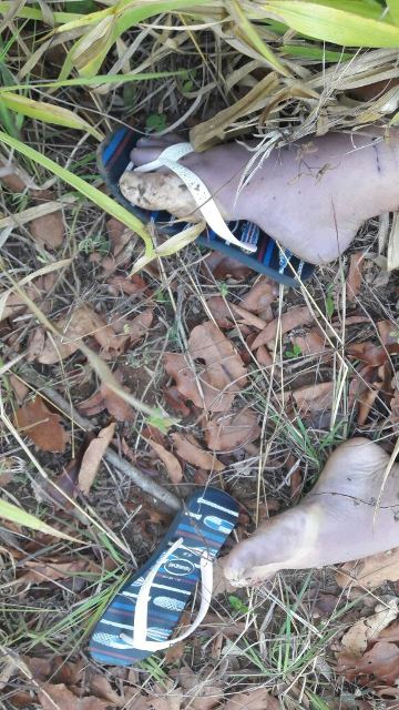 IMG-20171004-WA0546.jpg