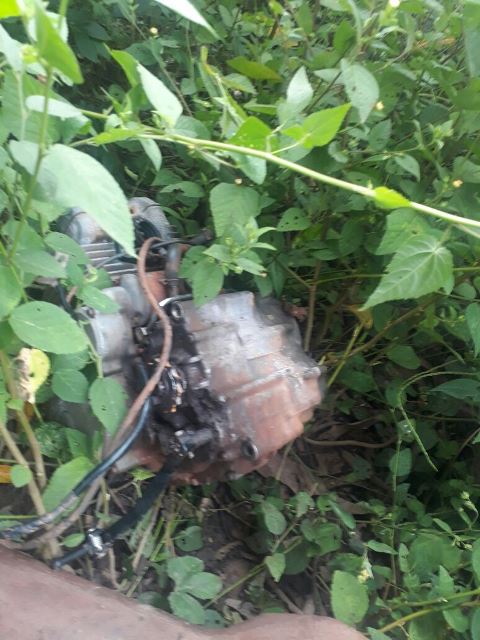 IMG-20180126-WA0766.jpg