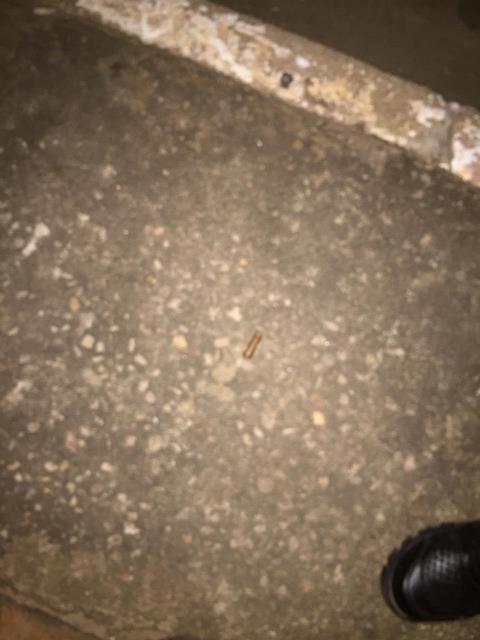 IMG-20181206-WA0184.jpg