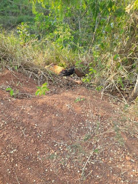 IMG-20190920-WA0184.jpg
