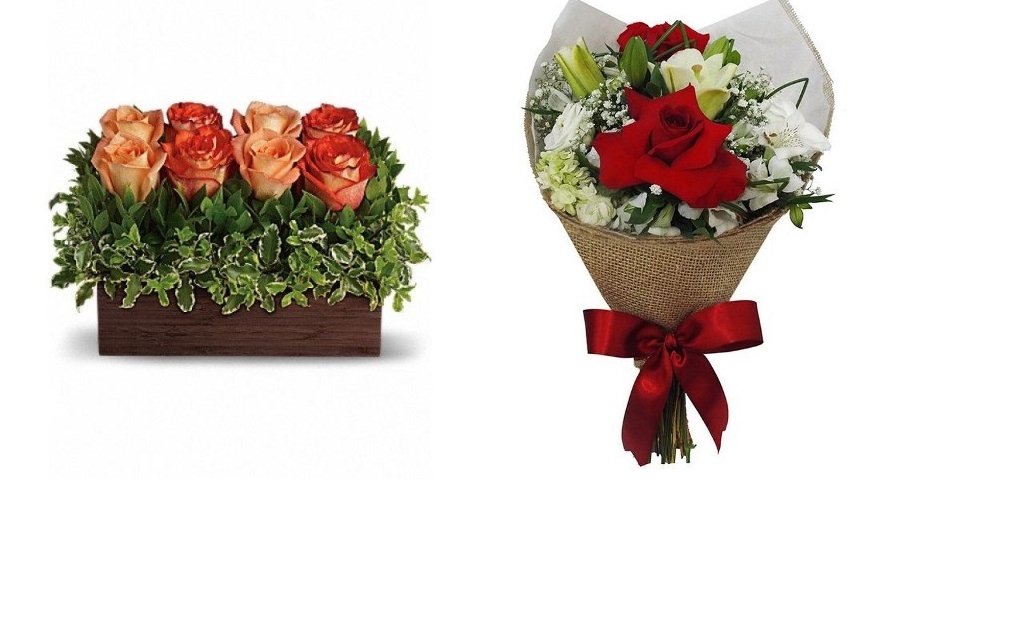 FLORES1.jpg