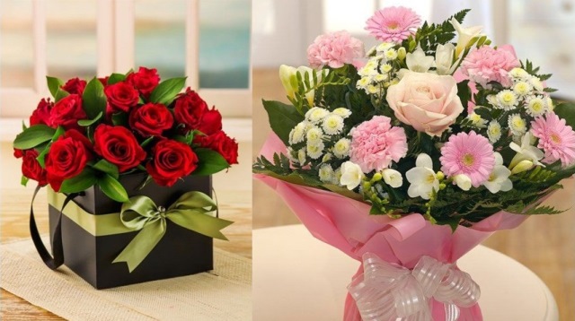 FLORES2.jpg