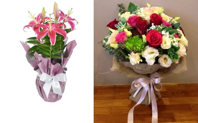 FLORES3.jpg