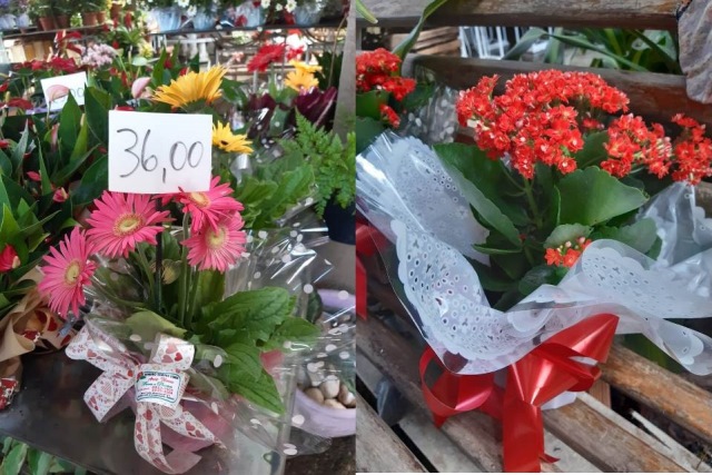 FLORES6.jpg